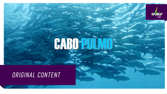 Cabo Pulmo  - Official Trailer